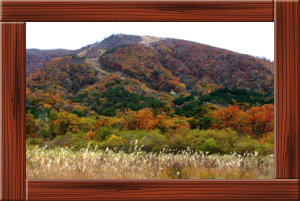 花渕山/11月